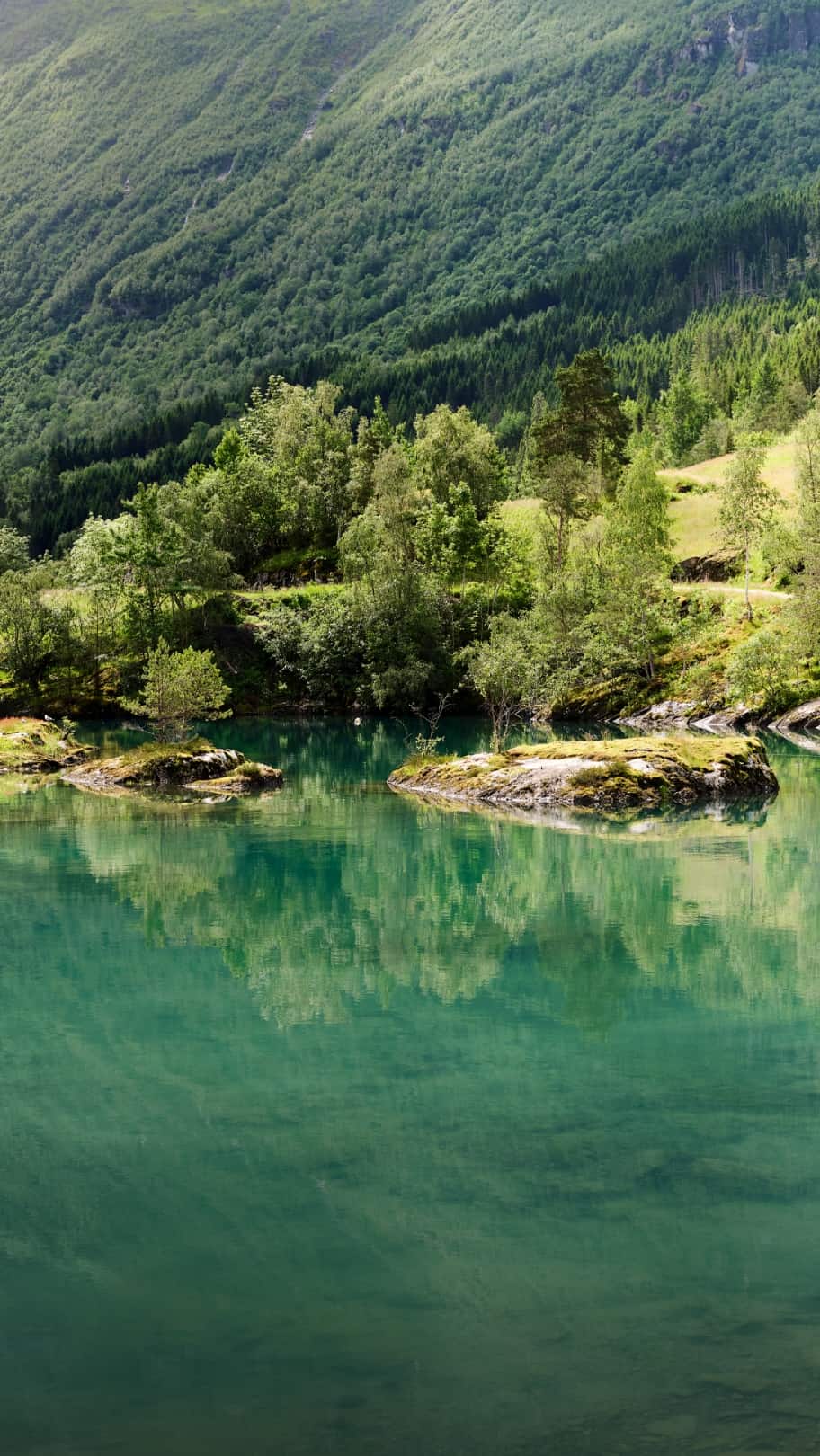 G&auml;rtner auf Dachgarten nutzt langen Hochentaster zum Schneiden eines Baums neben einer Treppe unter klarem Himmel.