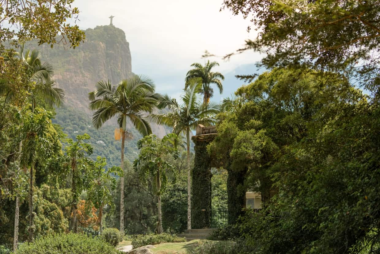 Botanischer Garten mit Palmen und dichtem Gr&uuml;n, im Hintergrund die Christusstatue Cristo Redentor auf hohem Fels