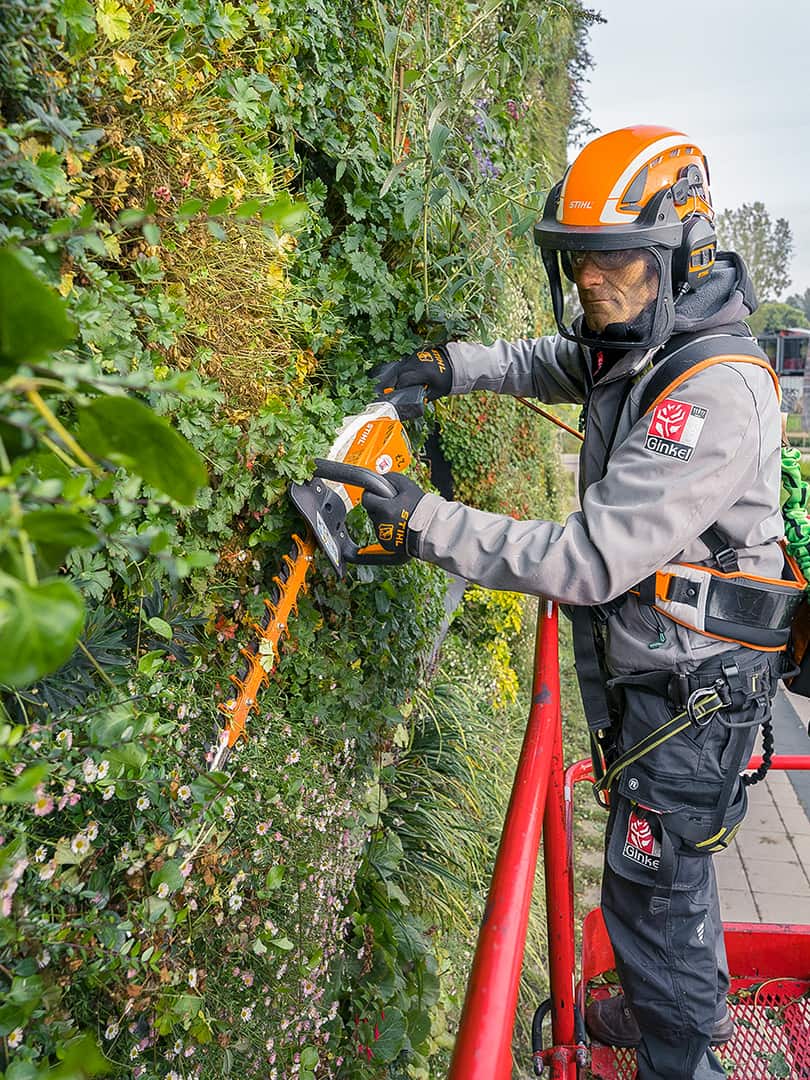 G&auml;rtner auf Dachgarten nutzt langen Hochentaster zum Schneiden eines Baums neben einer Treppe unter klarem Himmel.