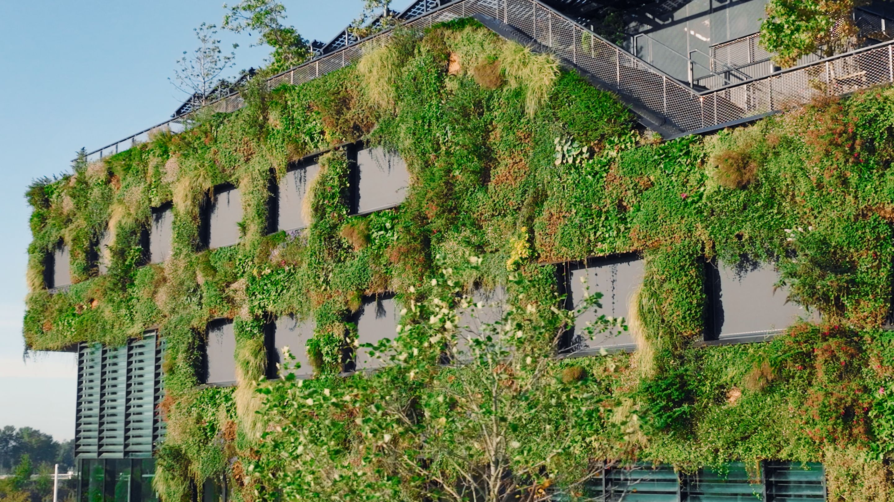 Szene 1: Die begrünte Fassade eines modernen Gebäudes. Szene 2: Ein Mann legt Schutzausrüstung von STIHL an. Szene 3: Von einem Hubsteiger aus wird eine begrünte Fassade mit einem Heckenschneider beschnitten. Szene 4 zeigt ein mit Photovoltaik bedecktes Dach. Szene 5: Eine Person stutzt die Dachbegrünung mit dem Freischneider.