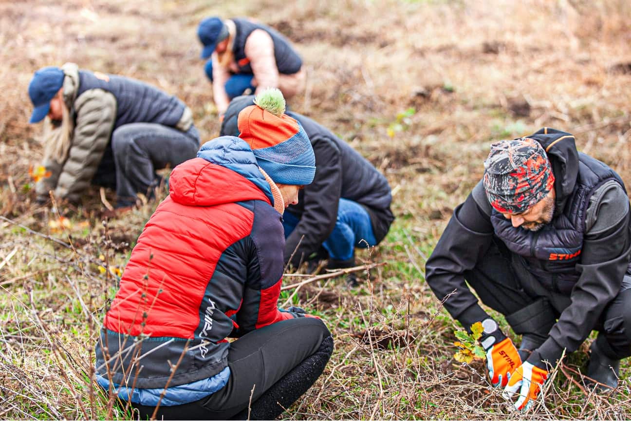 Mehrere Freiwillige in warmer Outdoorkleidung pflanzen junge Str&auml;ucher auf Wiese, STIHL Handschuhe und Werkzeuge im Einsatz